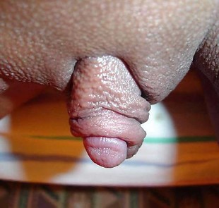Mostro ebano clitoride amatoriale foto